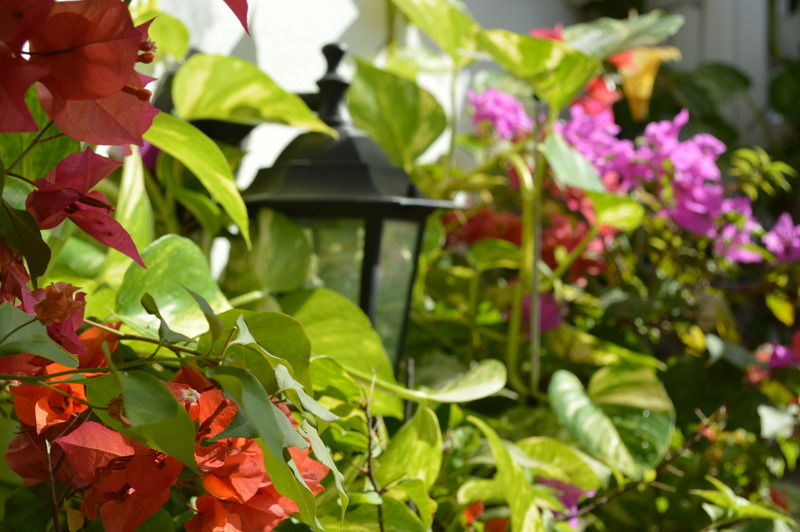 Casa Mary Hotel Cartagena ภายนอก รูปภาพ