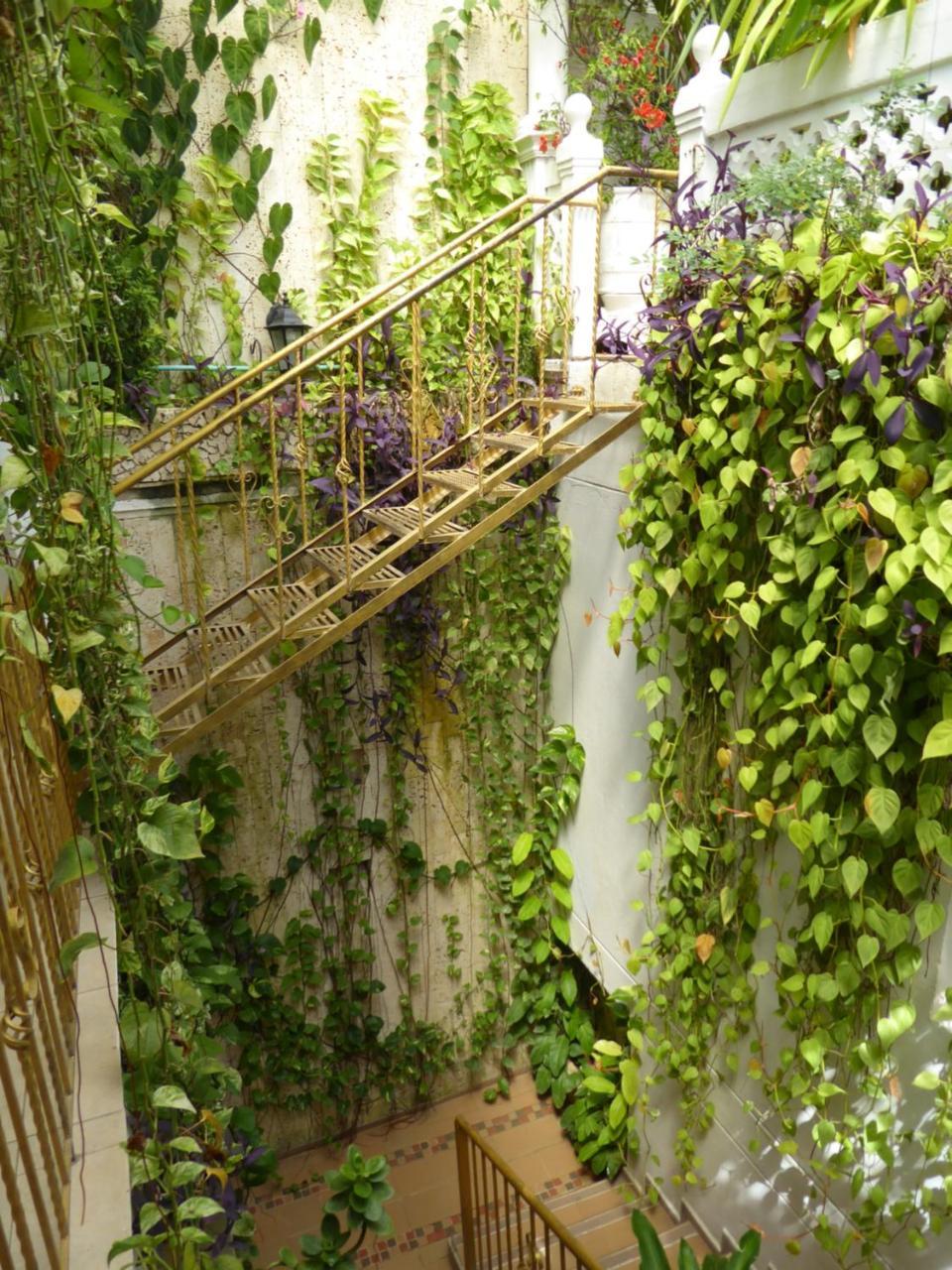Casa Mary Hotel Cartagena ภายนอก รูปภาพ
